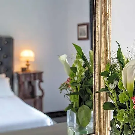 Hotel Residence 4*