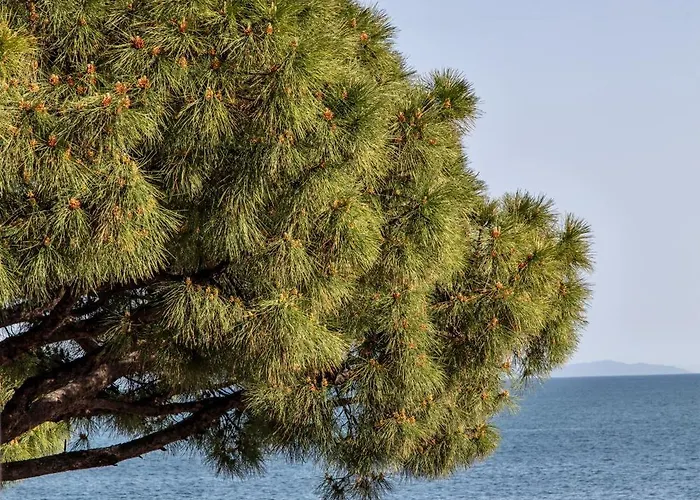 レジデンス ホテル アマルフィ